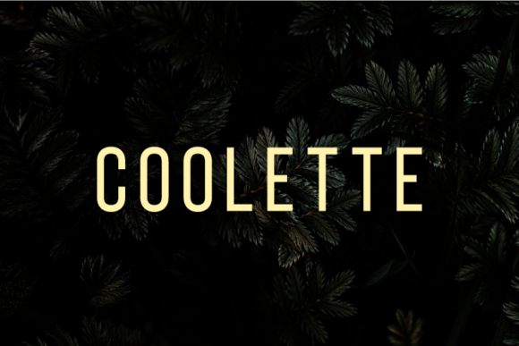 Coolette Font - Featured Image