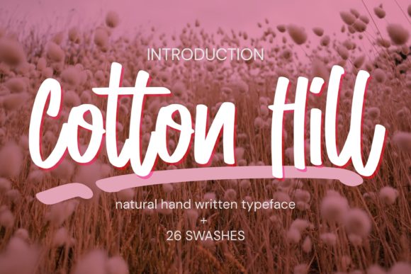 Cotton Hill Font - Featured Image