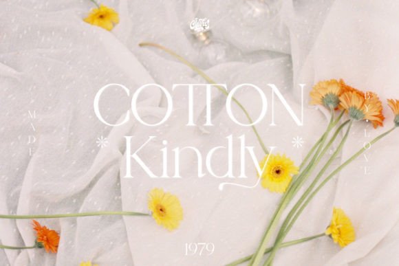 Cotton Kindly Font - Featured Image