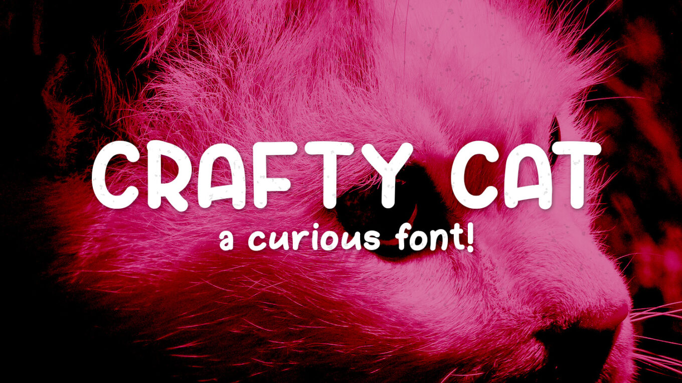 Crafty Cat Font - Featured Image