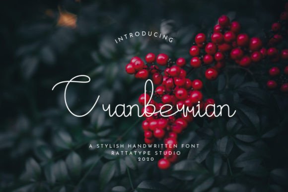 Cranberrian Font - Featured Image