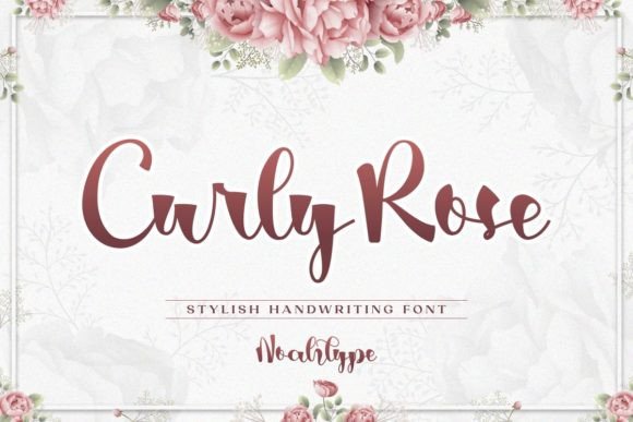 Curly Rose Font - Featured Image