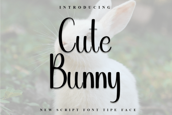 Cute Bunny Font - Featured Image