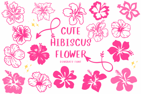 Cute Hibiscus Flower Font - Featured Image