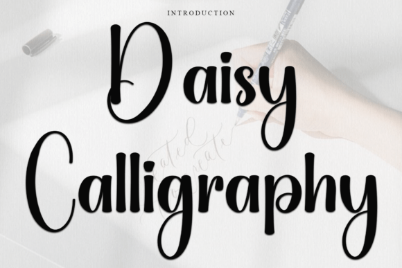 Daisy Calligraphy Font - Featured Image