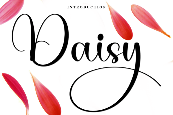 Daisy Font - Featured Image
