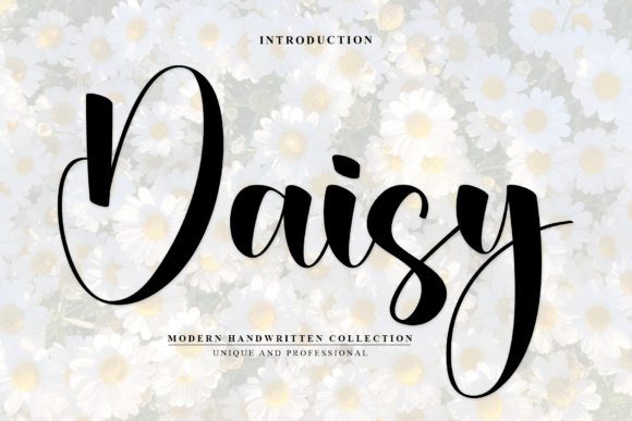 Daisy Font - Featured Image