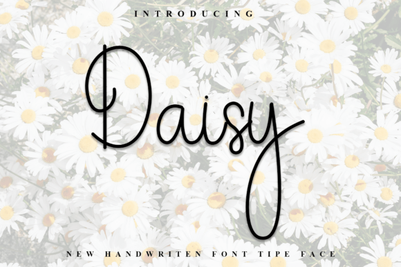 Daisy Font - Featured Image