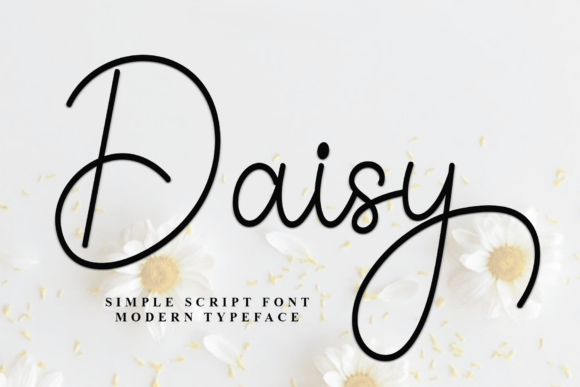 Daisy Font - Featured Image