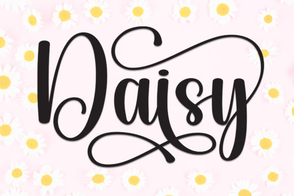 Daisy Font - Featured Image