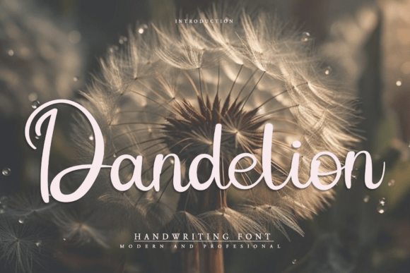Dandelion Font - Featured Image