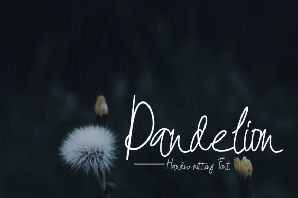 Dandelion Font - Featured Image