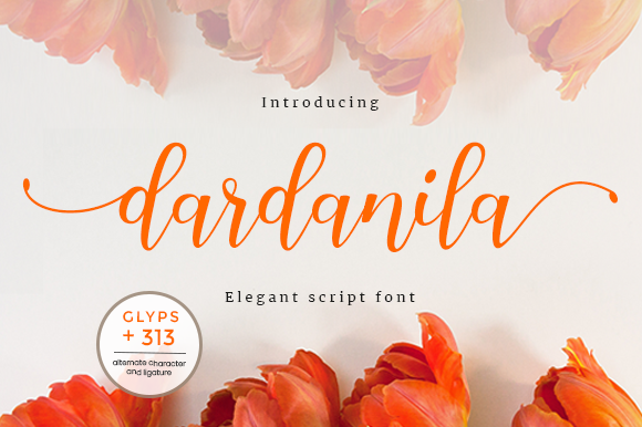 Dardanila Font - Featured Image