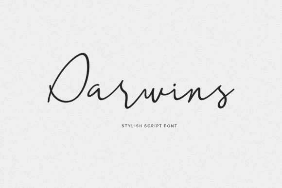 Darwins Font - Featured Image