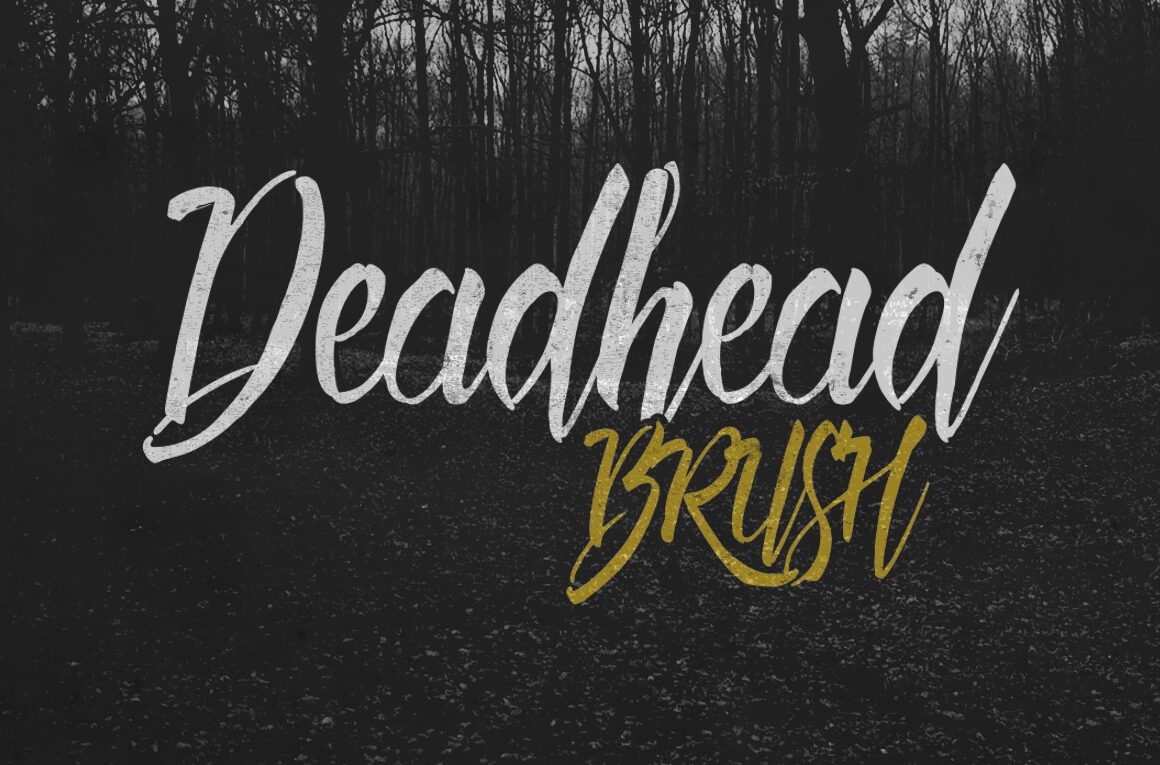 Deadhead Brush Font - Featured Image