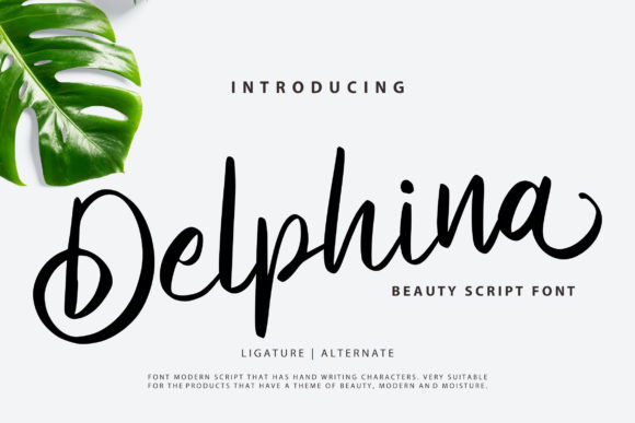Delphina Font - Featured Image