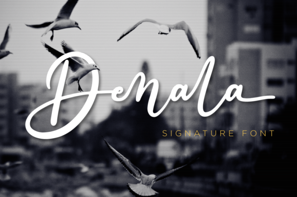 Denala Font - Featured Image