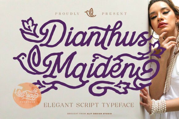 Dianthus Maiden Font - Featured Image