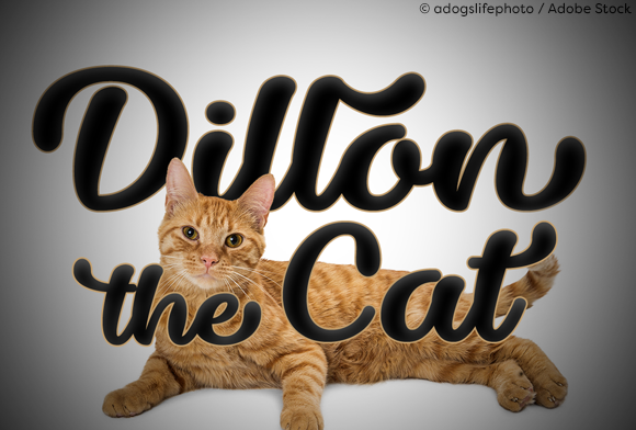 Dillon the Cat Font - Featured Image