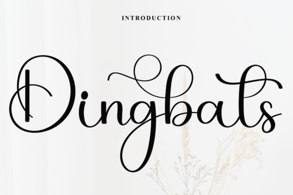Dingbats Font - Featured Image