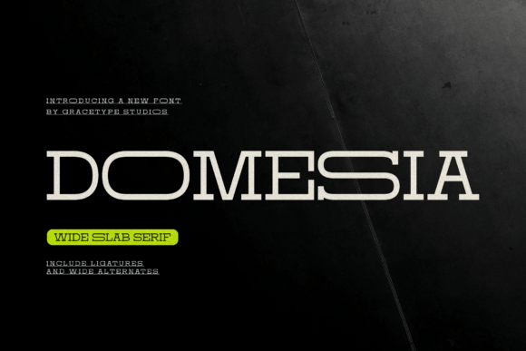Domesia Font - Featured Image
