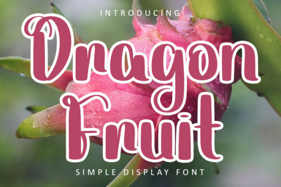 Dragon Fruit Font - Featured Image
