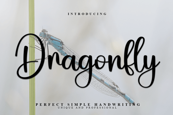 Dragonfly Font - Featured Image