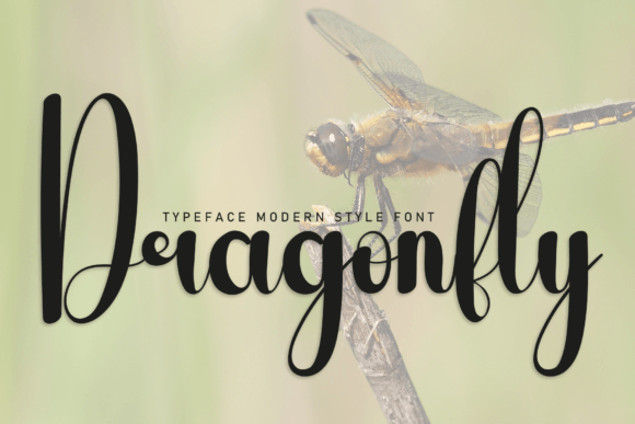 Dragonfly Font - Featured Image