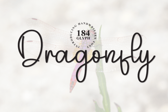 Dragonfly Font - Featured Image