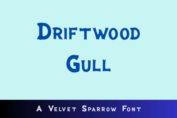 Driftwood Gull Font - Featured Image