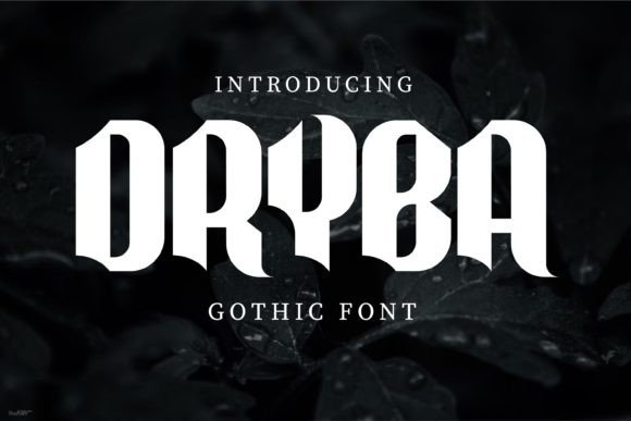 Dryba Font - Featured Image