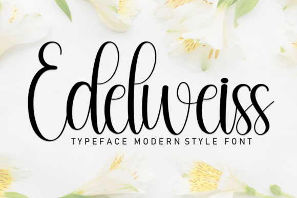 Edelweiss Font - Featured Image