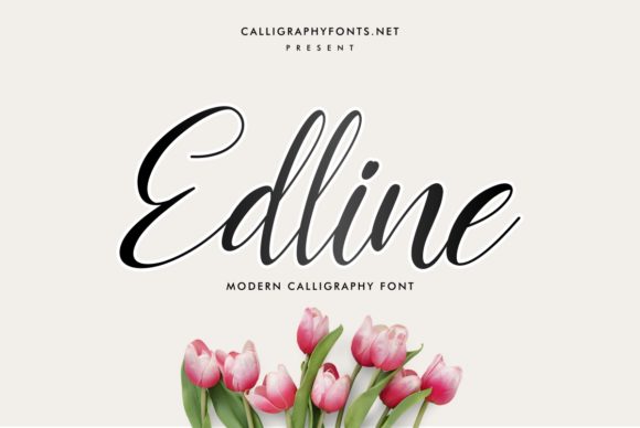 Edline Font - Featured Image
