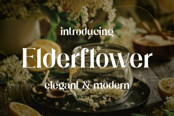 Elderflower Font - Featured Image