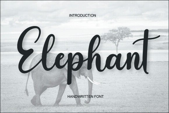 Elephant Font - Featured Image