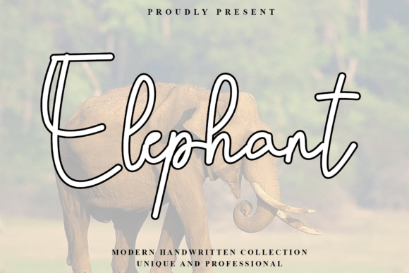 Elephant Font - Featured Image
