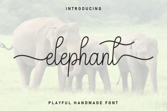 Elephant Font - Featured Image
