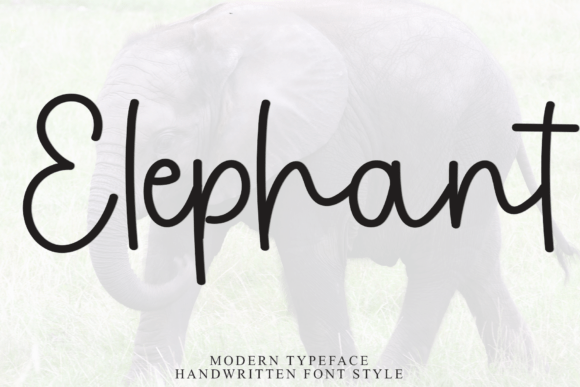 Elephant Font - Featured Image