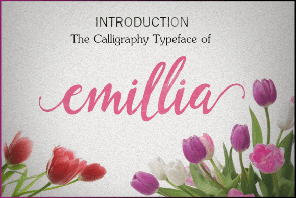 Emillia Font - Featured Image