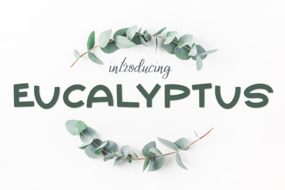 Eucalyptus Font - Featured Image