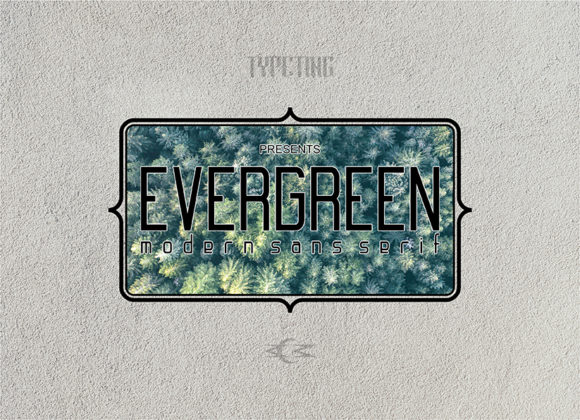 Evergreen Font - Featured Image