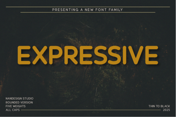 Expressive Rounded Font - Featured Image