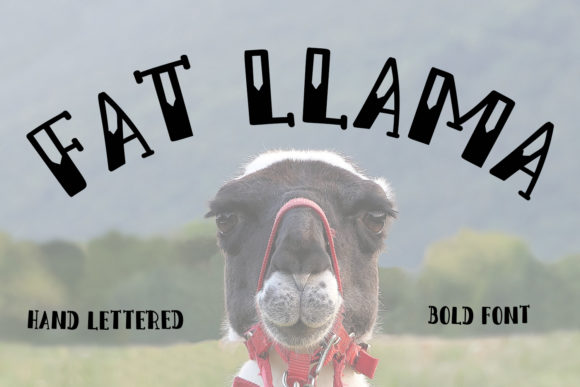 Fat Llama Font - Featured Image