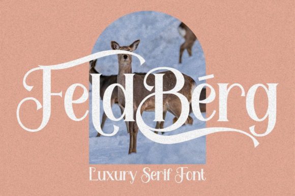 Feldberg Font - Featured Image