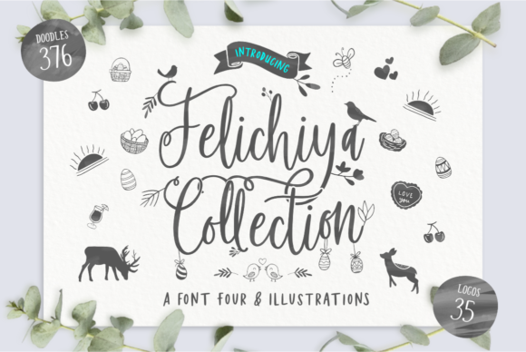 Felichiya Collection Font - Featured Image