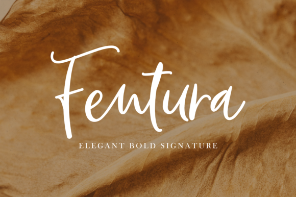 Fentura Font - Featured Image