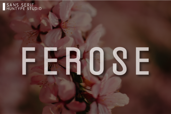 Ferose Font - Featured Image
