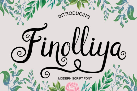 Finolliya Font - Featured Image