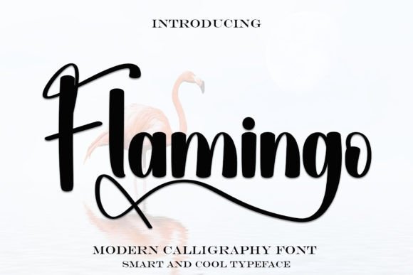 Flamingo Font - Featured Image
