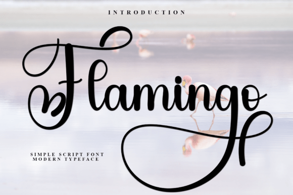 Flamingo Font - Featured Image